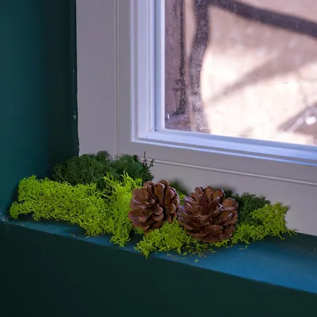 Le Sous-bois, Parenthèse Nature Bergerac