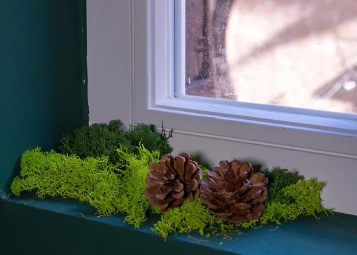 Le Sous-Bois, L'Echappee Verte A Bergerac Bergerac